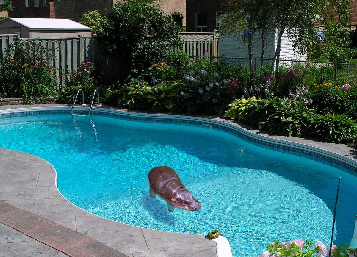 ใครทำอันนี้ จี้จัดเลย 555 
อนาคตบ้านหมูเด้งก็ประมาณนี้ครับ 
แต่คงไม่อยู่ทั้งวันทั้นคืน เพราะธรรมชาติของฮิปโปค่อนข้างสกปรก555(นอนโคลน) และจะเริ่มขี้ตอนบ่ายๆตอนบ่ายต้องมีอีกบ่อสำหรับให้พี่ๆเค้าจัดหนัก จัดเต็ม #hippo #PygmyHippo #ขาหมูแอนด์เดอะแก๊ง #หมูเด้งเด้งกี่โมง #Moodeng