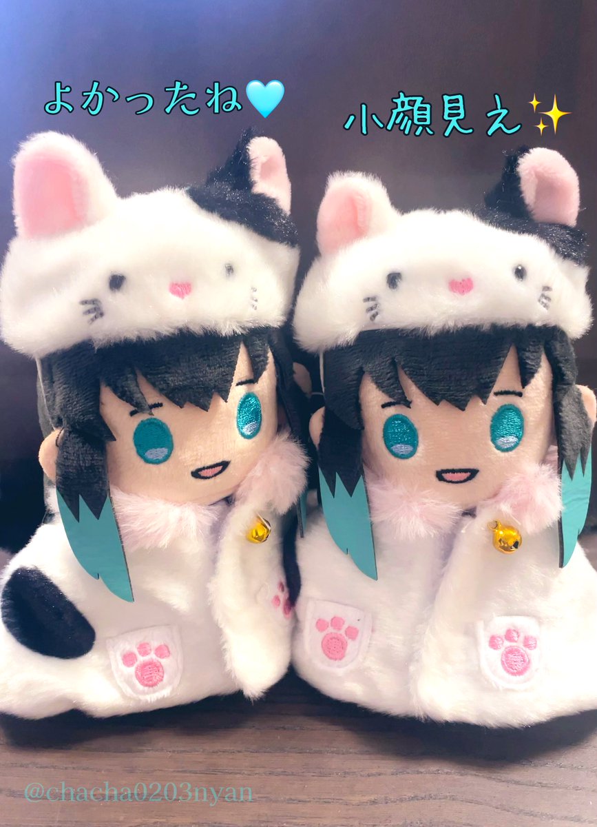 のりりん (@noririn_616) / Posts / X