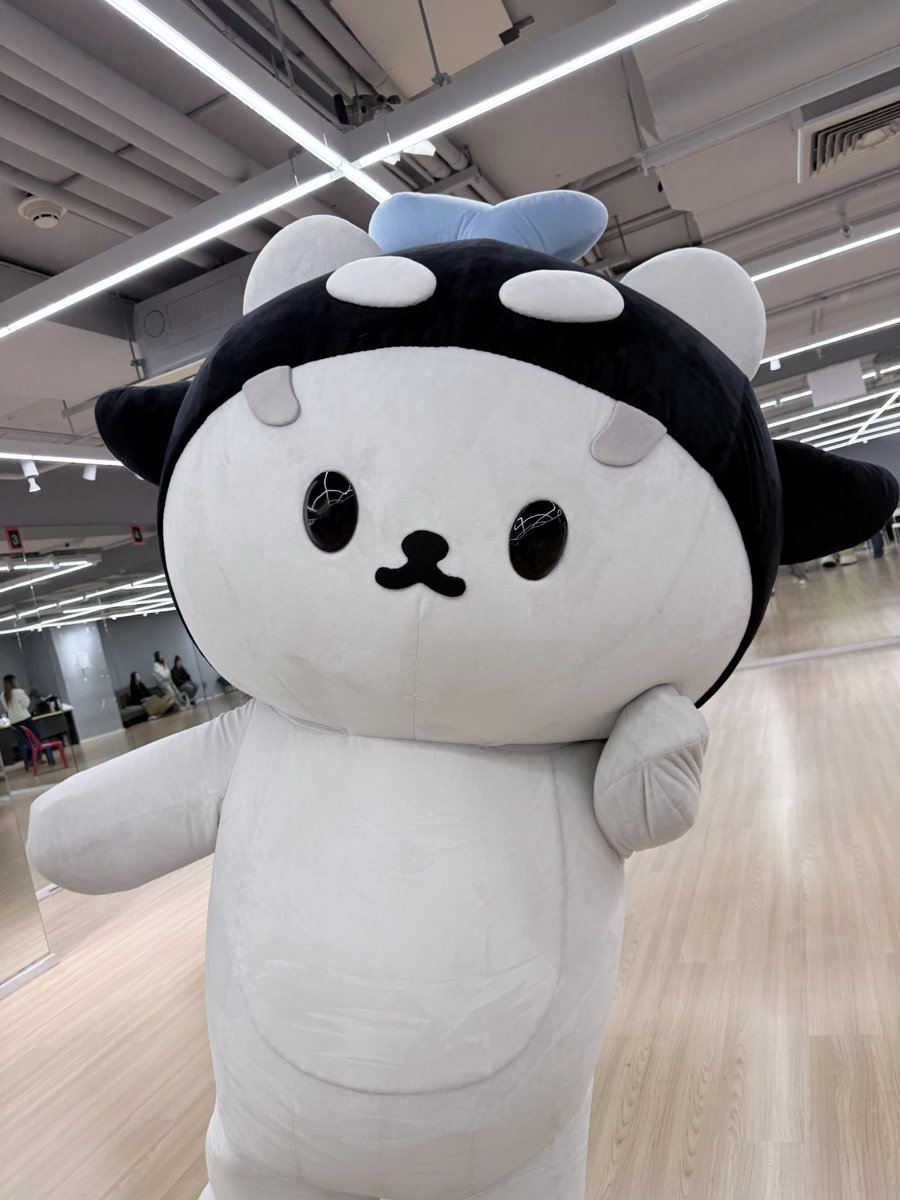 ซังซ้อมสนุกม้าก รอเจอทู้กคนแย้วฮับบบ🐳🐻‍❄️
#PolcaFamMeeting #POLCASAN