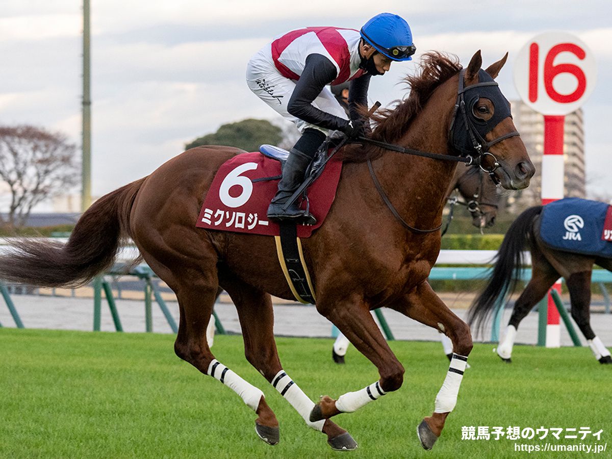 ダイヤモンドS2026】出走予定馬最速チェック ミクソロジー 3年前の