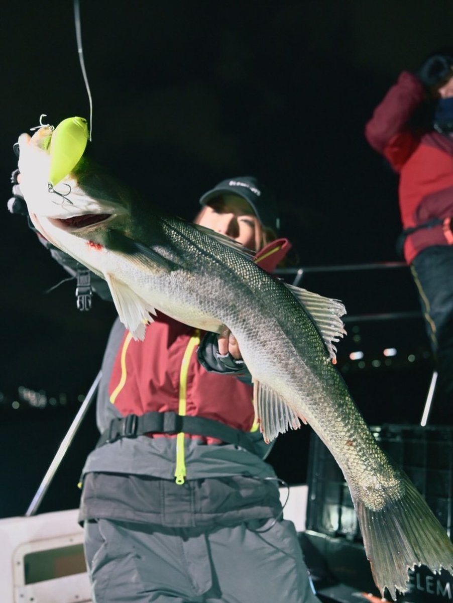 elmnts_jp's tweet image. ナイトでも200mmの破壊力は健在。

ELEMENTS TEAM ANGLER "まいまい“ がプロトルアー【DEEPBAIT200】でナイスシーバス🔥

#DEEPBAIT200
#ディープベイト200
#ELEMENTS
#エレメンツ