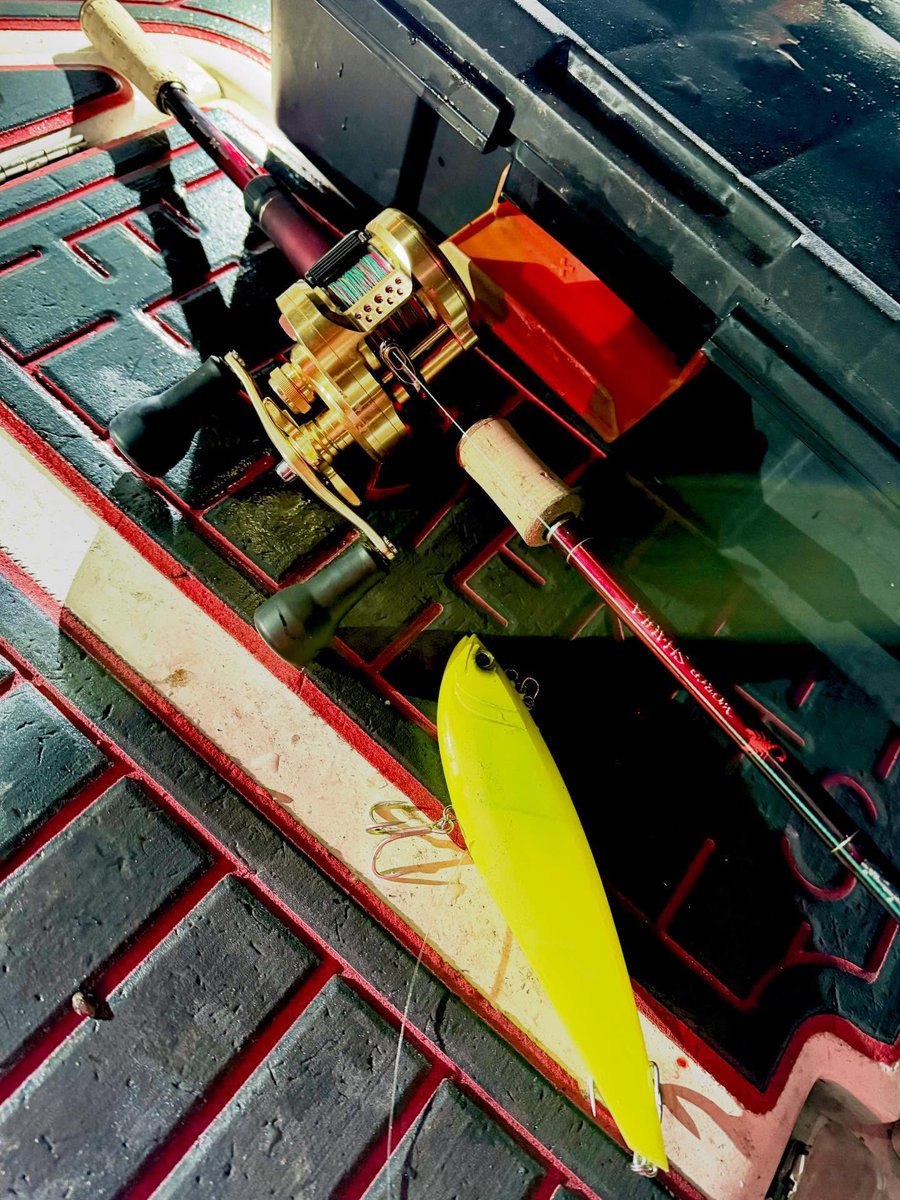 elmnts_jp's tweet image. ナイトでも200mmの破壊力は健在。

ELEMENTS TEAM ANGLER "まいまい“ がプロトルアー【DEEPBAIT200】でナイスシーバス🔥

#DEEPBAIT200
#ディープベイト200
#ELEMENTS
#エレメンツ