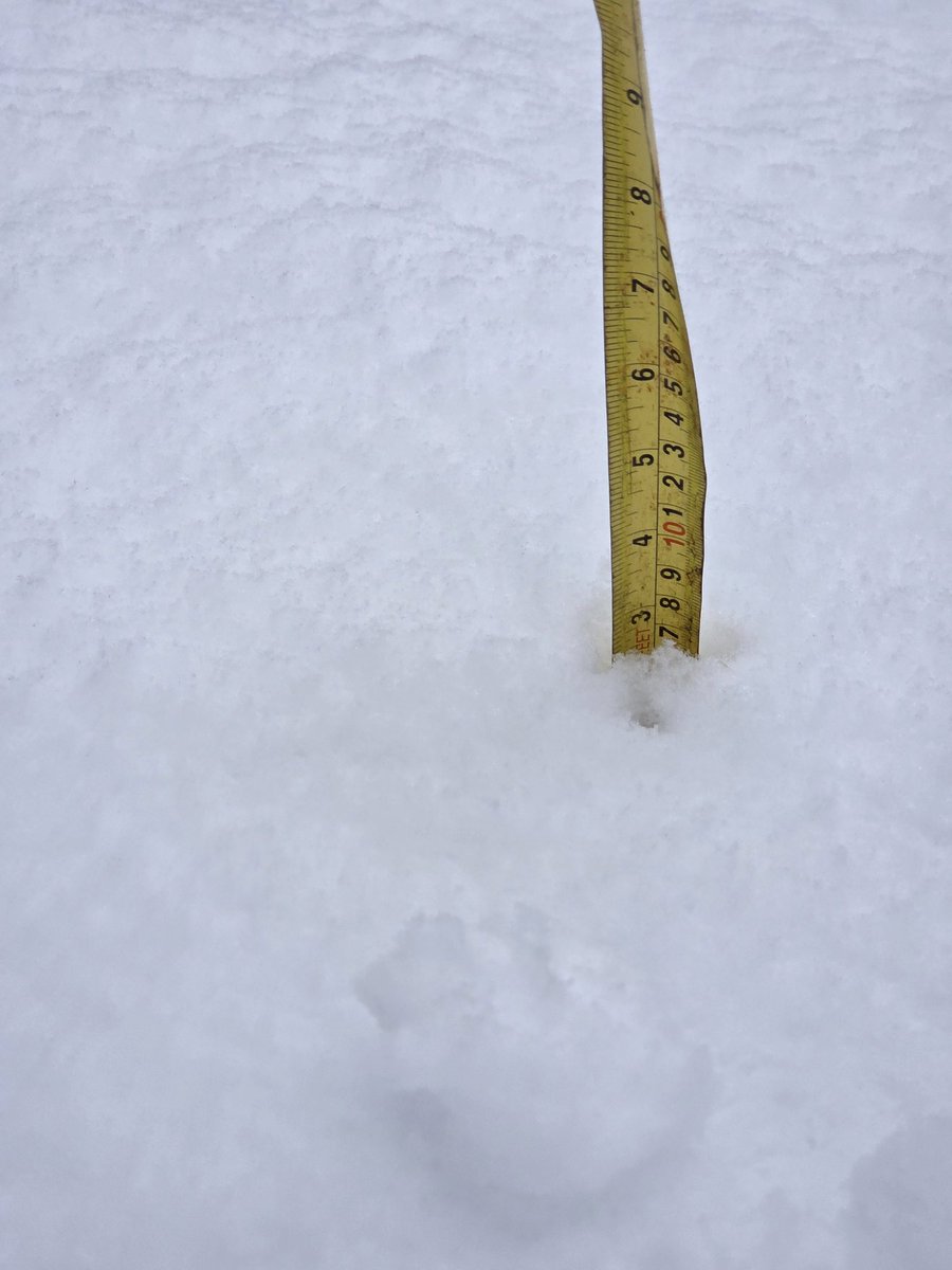 Mélarno Kraan tweet media