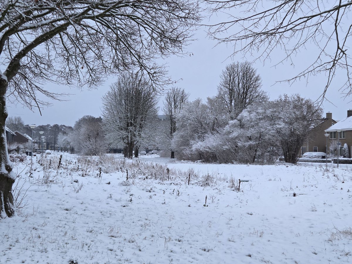 Mélarno Kraan tweet media