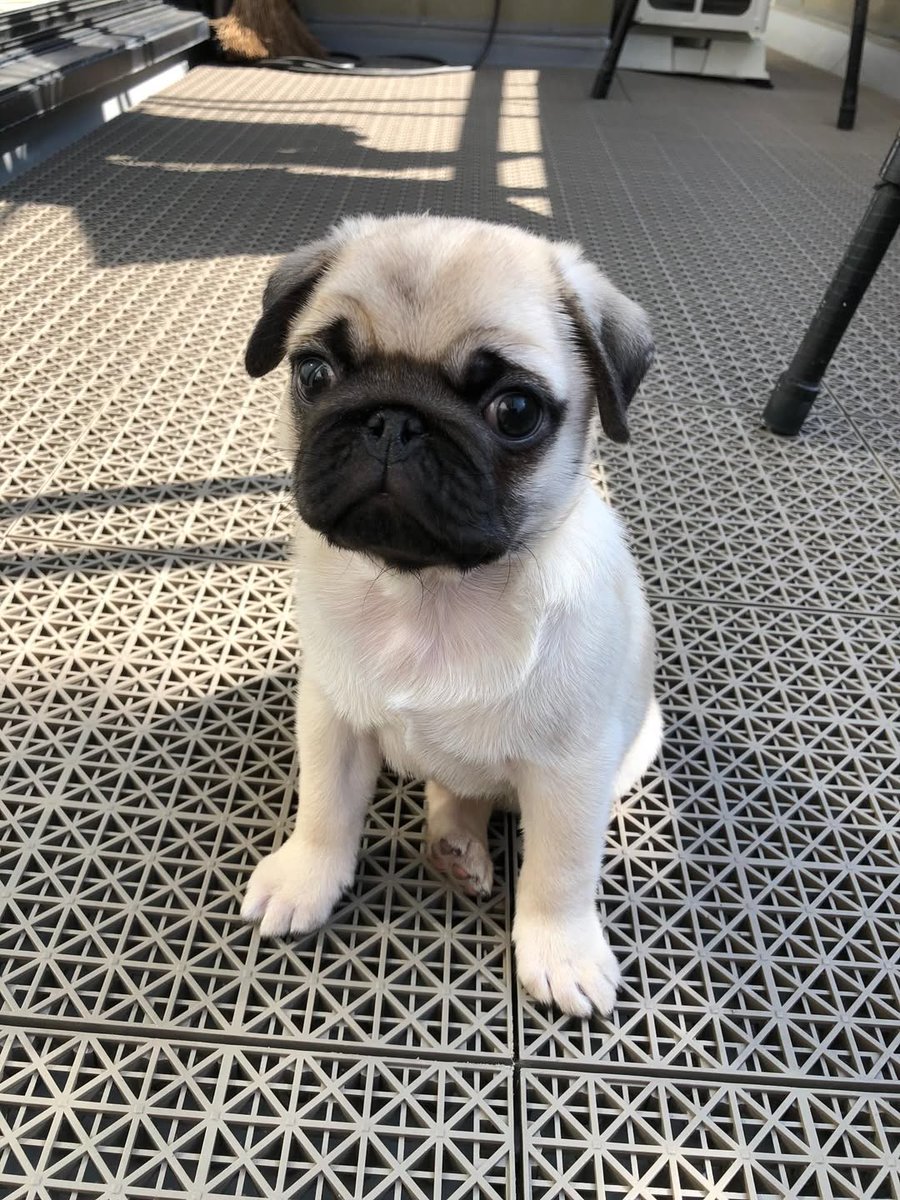 Mary M. Smithson56 tweet media