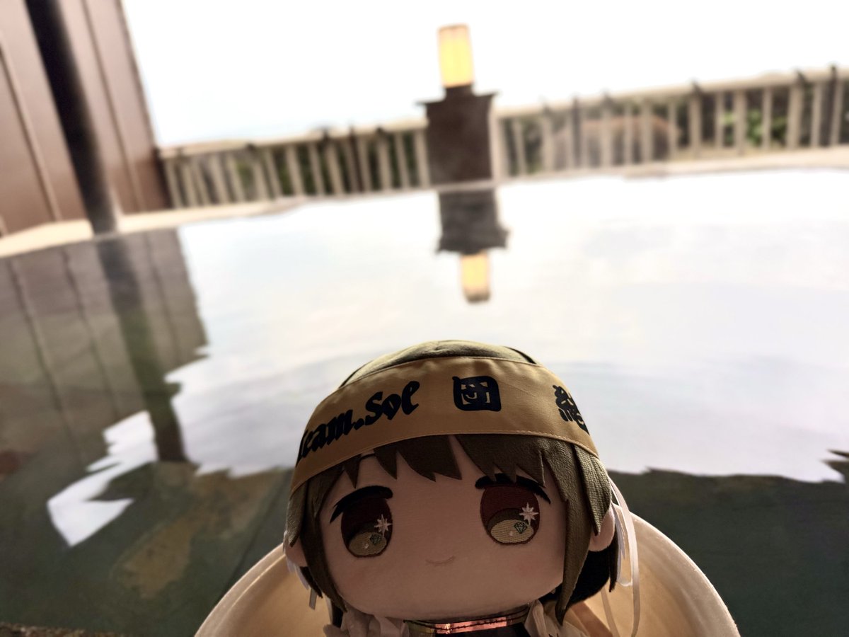 birdofcinder's tweet image. 