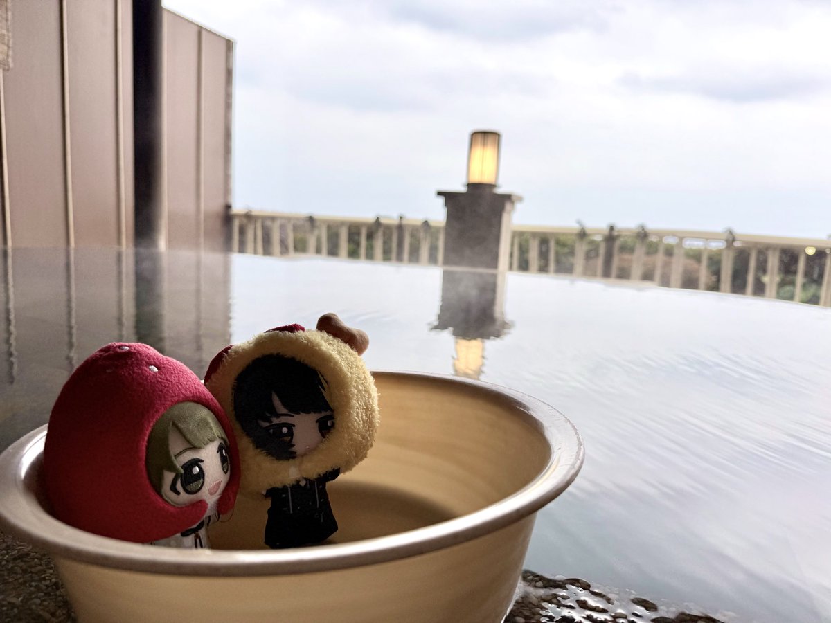 birdofcinder's tweet image. 