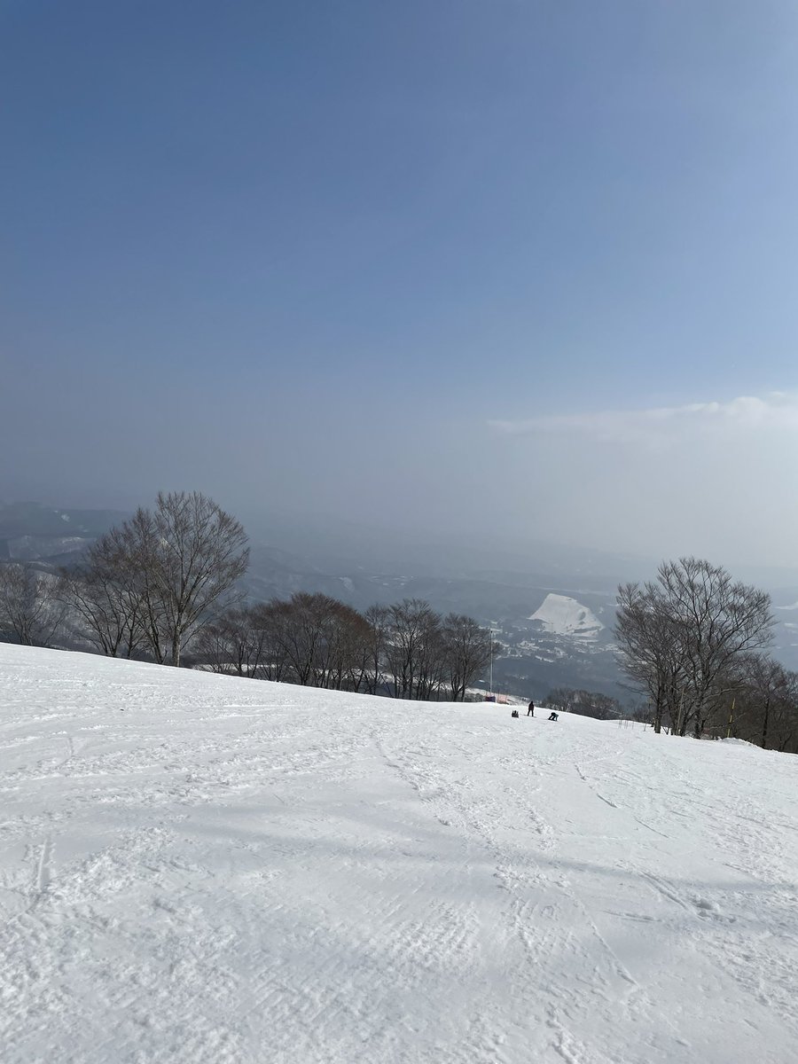 Pkun_nico2's tweet photo. たかす https://t.co/UtGqU2aORZ