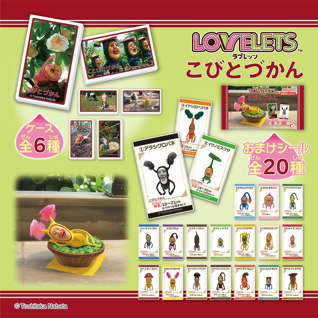 こびとづかん公式📚🌿 tweet media