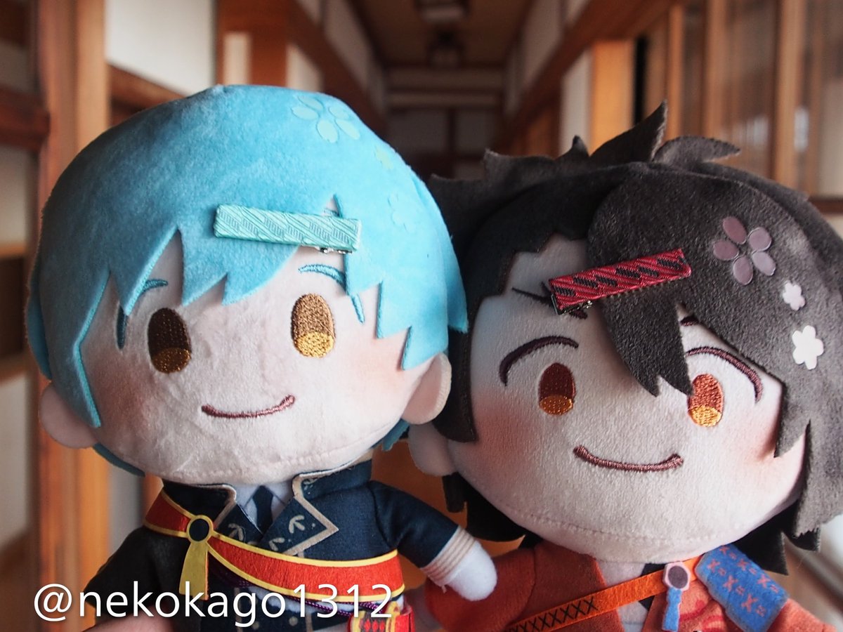 うちのこにもモデルをしてもらいました✨可愛い🤭(画像は博多織クリップミニの新作です)