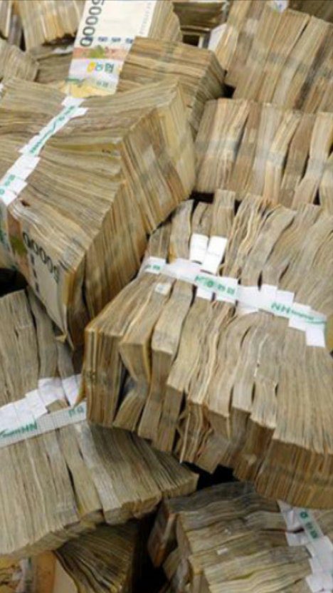 ✨RT하면 돈이 굴러들어옴✨