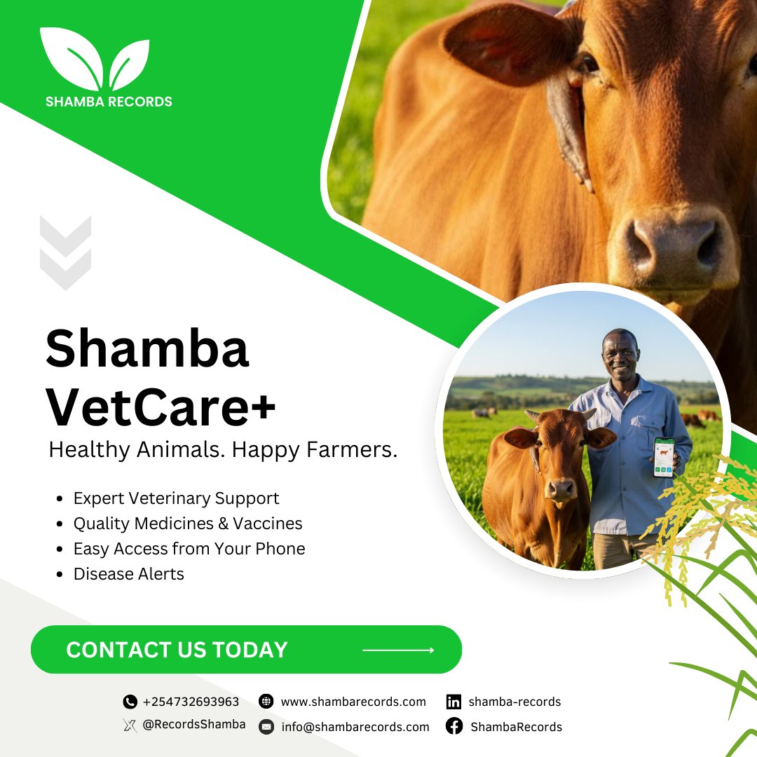 Shamba Records tweet media