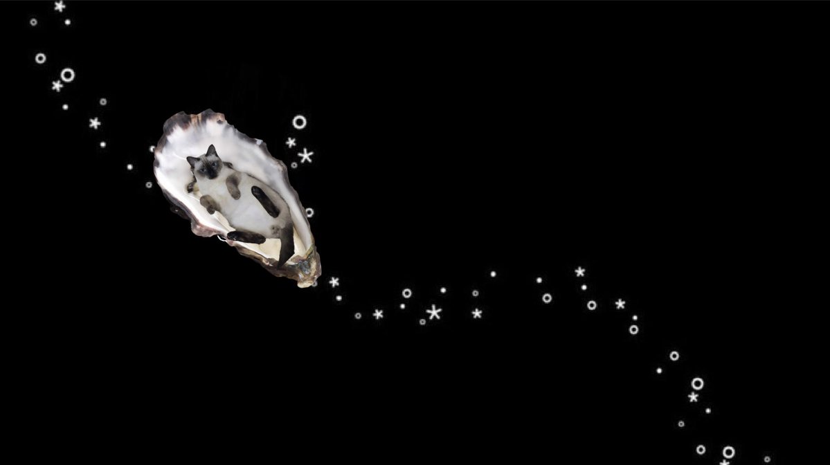 앵굴이의 축복을 받으세요🦪
∴｡　
　･ﾟ*｡. 
　　･ *ﾟ
　 ･ ﾟ*
     ･｡     
   *･｡
      *.｡ 
           ｡･
              °*. ﾟ｡
                      °*.
                      ﾟ*.
                 ｡｡ ･
             ｡ ･ﾟ
       ｡°*.
   ｡*･｡