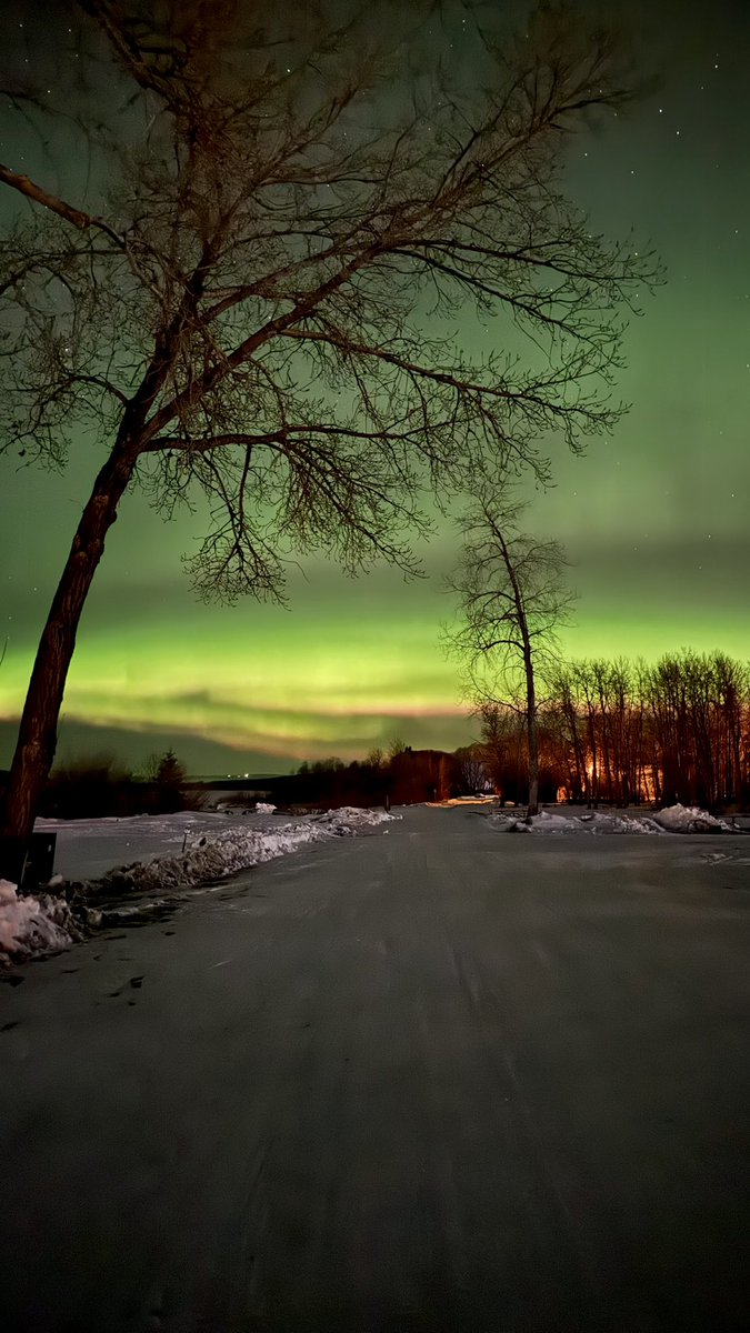 tracygregorash's tweet image. A few phone #aurora verticals from Feb. 15th in Minnedosa, #Manitoba. 
Night all! 😴