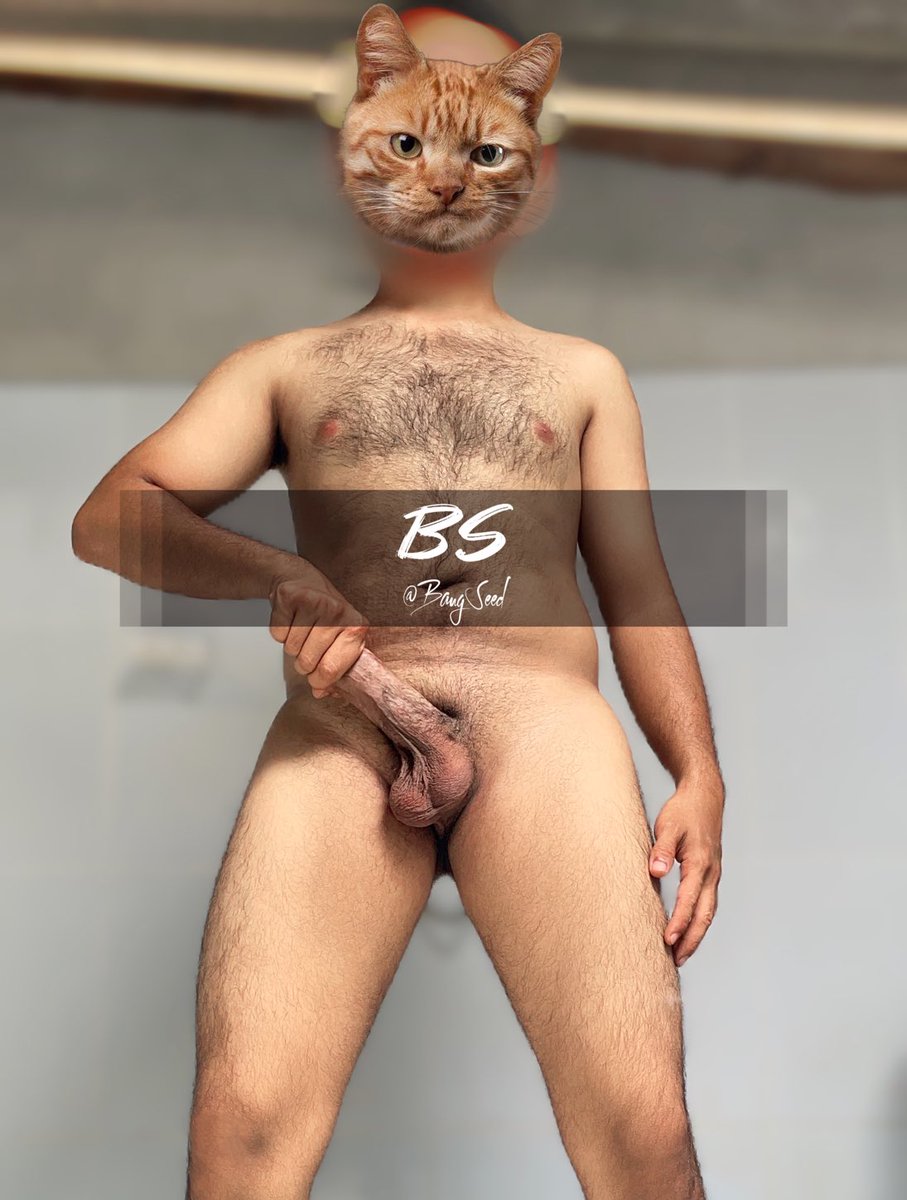 BA LA JU 🇹🇷 tweet media