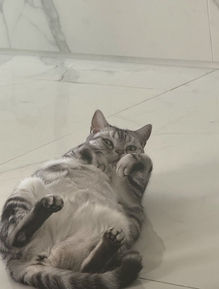 바울이 약간 왼쪽 자세로 누워있다가 바울아~ 하고 부르면 얼굴만 뾱 들고 쳐다보는 걸까..