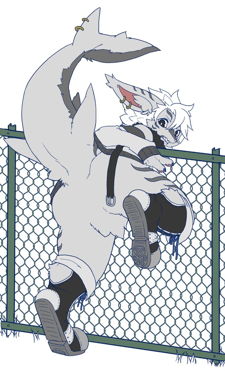 行けると思った