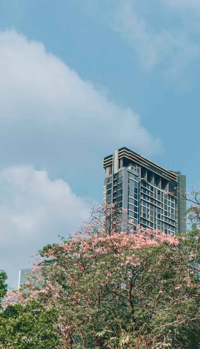 ชมพูพันธ์ทิพย์แหละทุกค๊นนน #photograph