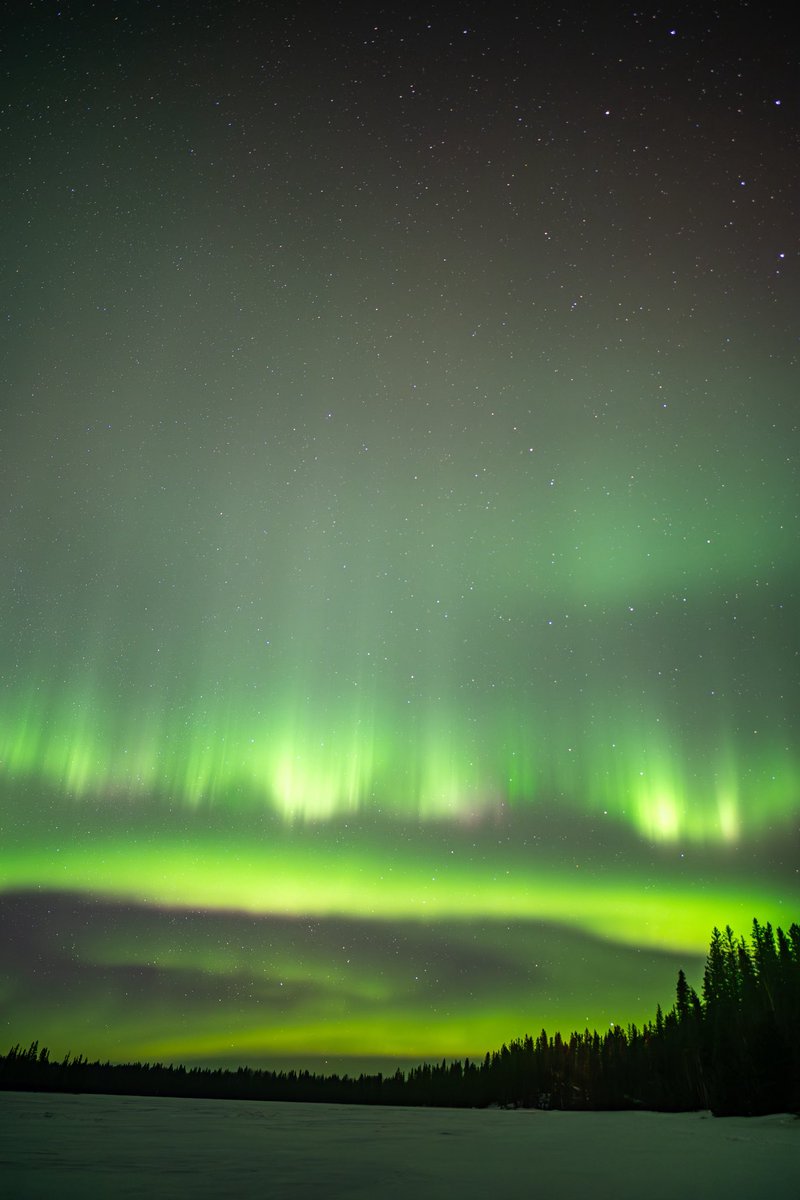 Jeremy Rand tweet media