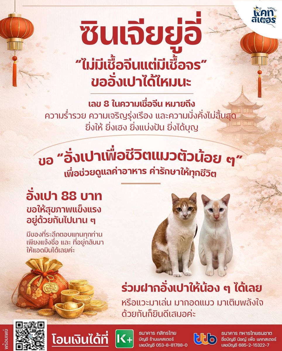 CatsterClub's tweet image. ไม่มีเชื้อจีน แต่มีเชื้อจรค่ะ 🥹
สุขสันต์วันตรุษจีนนะคะ
ขอให้ทุกท่านมีเงินเยอะ ๆ 
จะได้มีเงินมาช่วยดูแลแมวจรด้วยกัน 

ขอให้ได้เงินคืนร้อยเท่าพันทวี 
เฮง เฮง ปัง ปัง 
ขอให้เป็นปีม้าคึกคักของทุกคนนะคะ 
🙏🏻❤️
