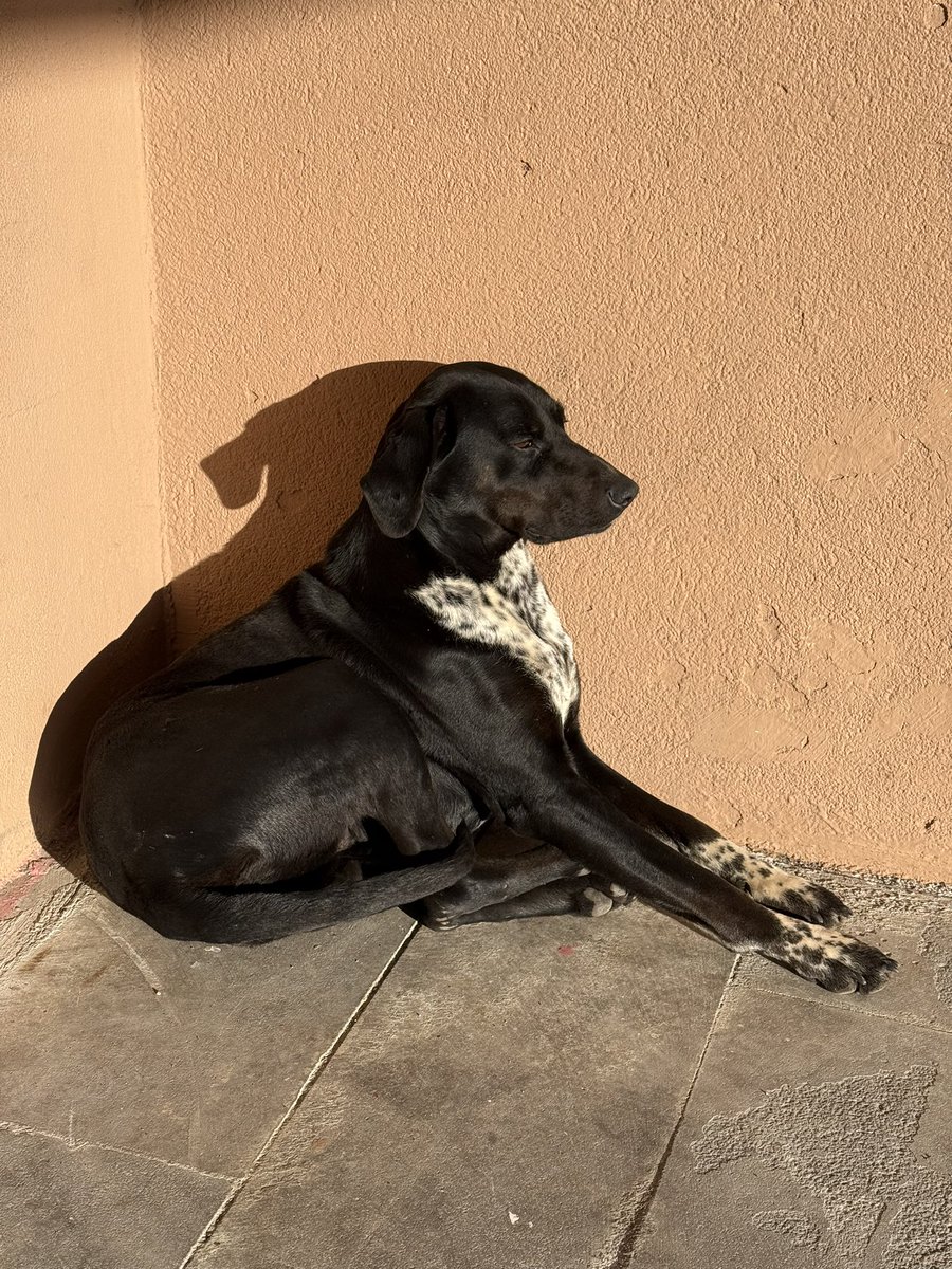 Dersim yok, ben de şu yakışıklıyla güneşin tadını çıkarıyorum. 
Az ve öz. 😊