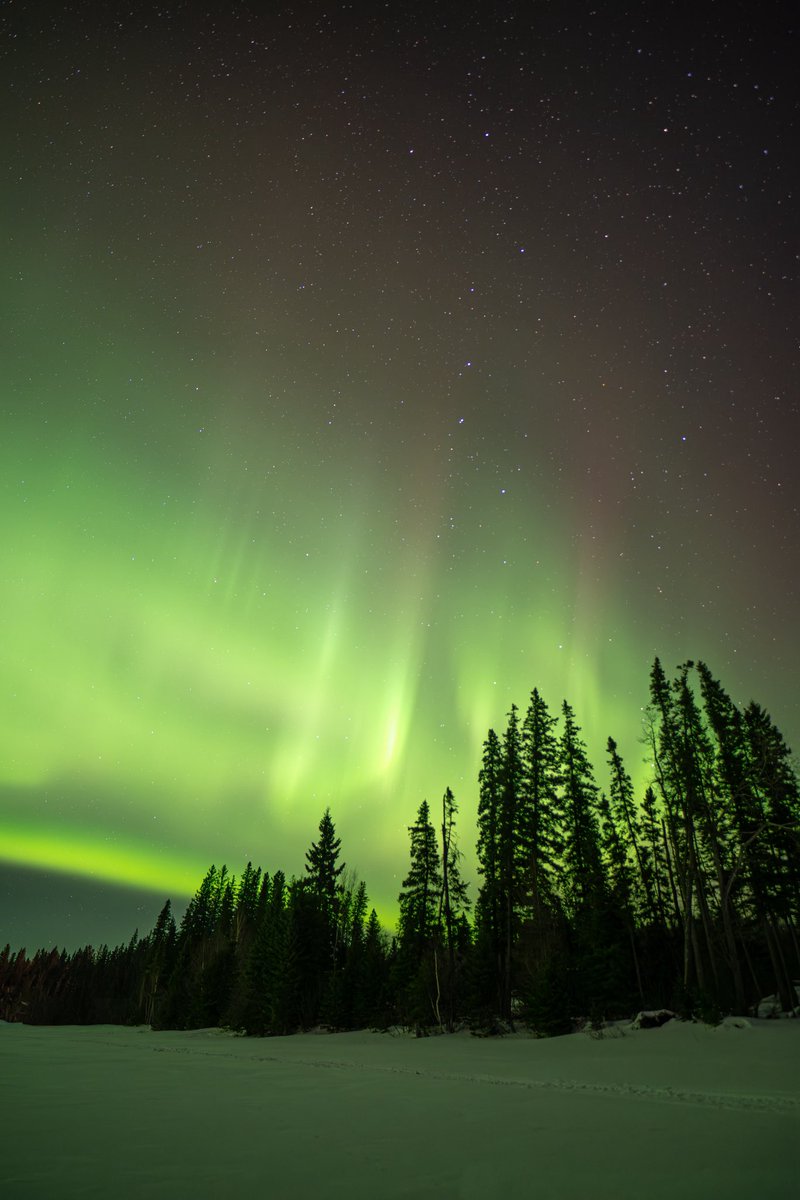 Jeremy Rand tweet media