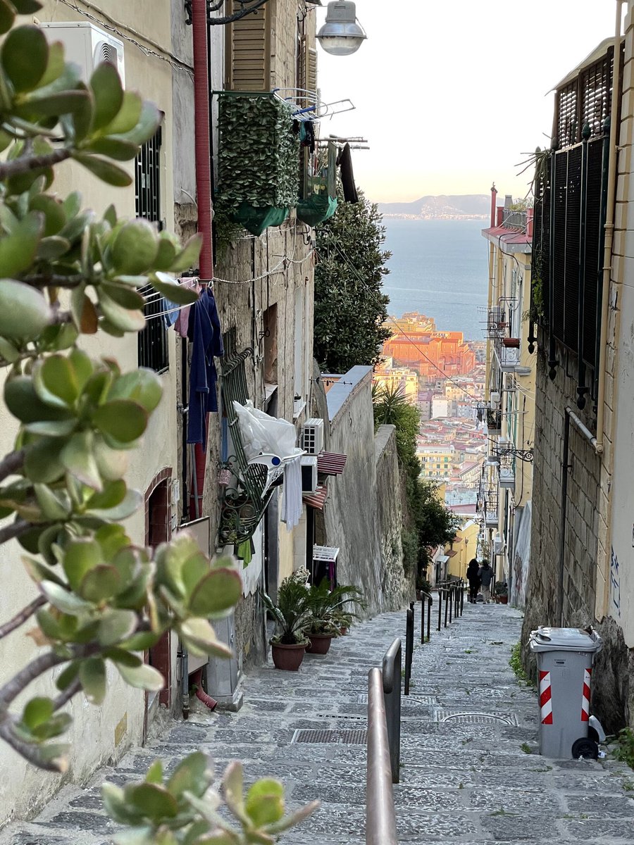 Non serve vedere tutta la scala, serve solo fare il primo gradino.
#Napolidavivere ☕️🫣💙😍