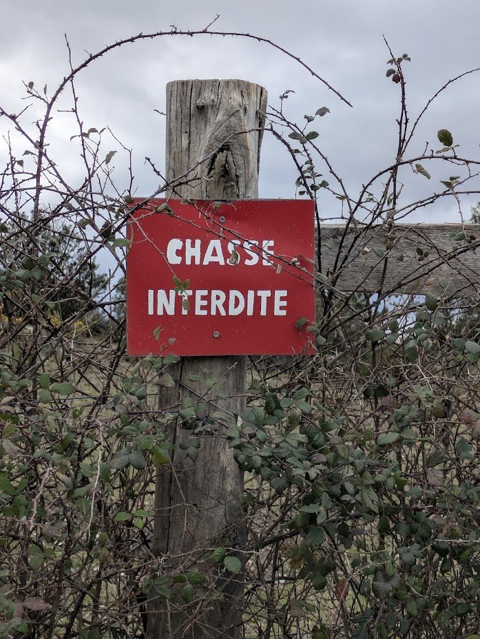 Noneotherthan Doug Hall Ⓥ💚🌱 tweet media