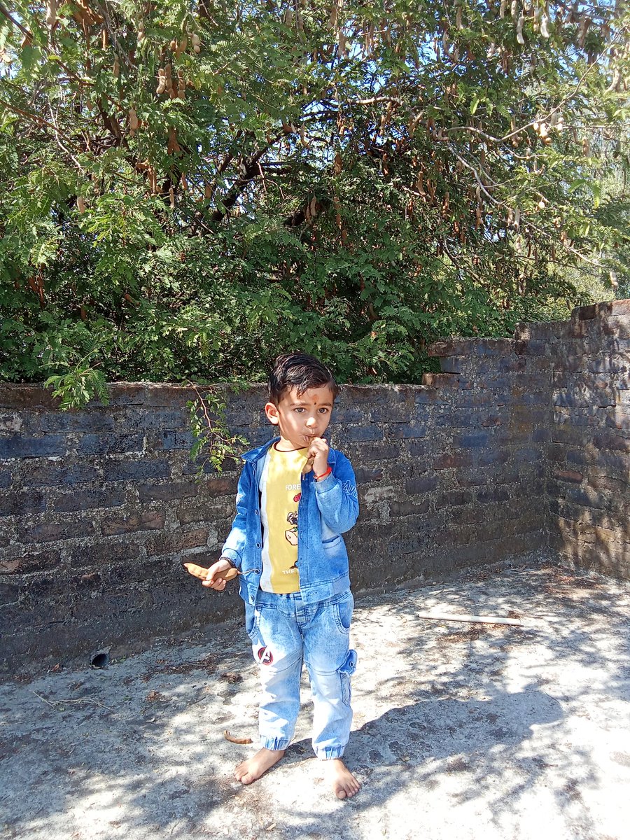 Pramodkirar111's tweet image. #tamarind #feter #today #shivratri2026