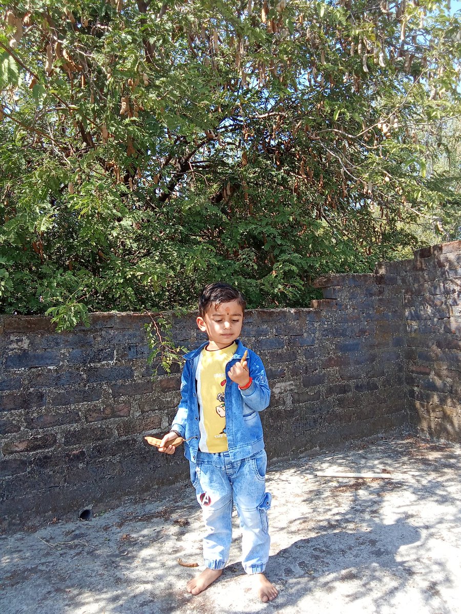 Pramodkirar111's tweet image. #tamarind #feter #today #shivratri2026