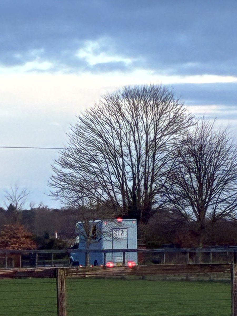 Brookside Stud tweet media