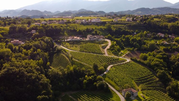SonoitaliaInfo's tweet image. #Entspannung und #Genuss im #Ca’ del #Poggio👉sonoitalia.de/entspannung-un… @CiaoNico