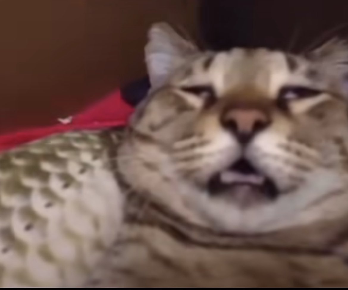 yo cuando apago el celular y veo mi reflejo en la pantalla