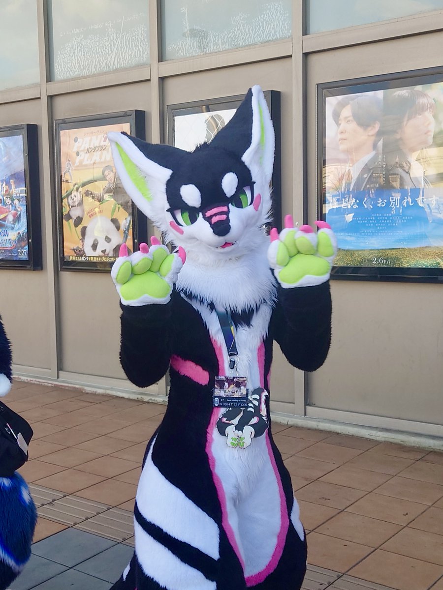 Nicholas🔜関西けもケット11 tweet media