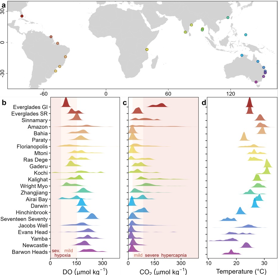 Dr. Gloria Reithmaier tweet media