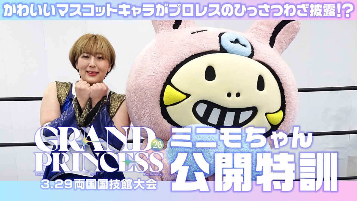 おともだちのみんなー❣️必見❣️ ミニモちゃんプロレス公開特訓の