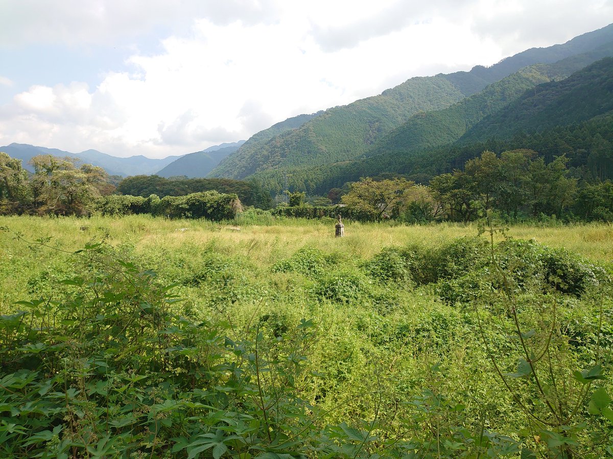 まだ居るかな？