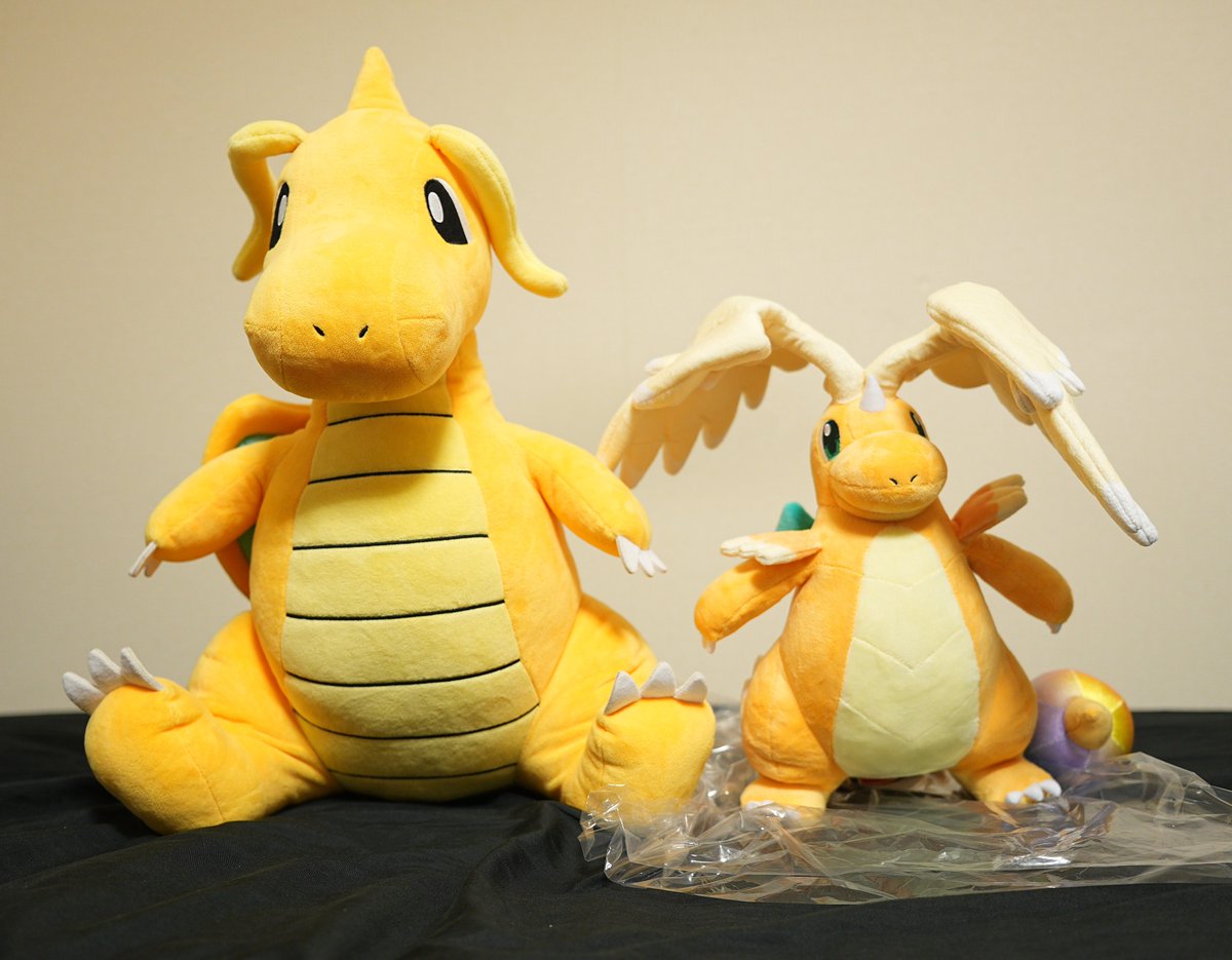 メガカイリューのぬいぐるみをお迎えした〜！🥰 誕生日仕様の箱で届い