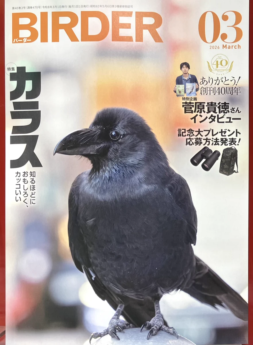 ブックファースト新宿店 on X: 
