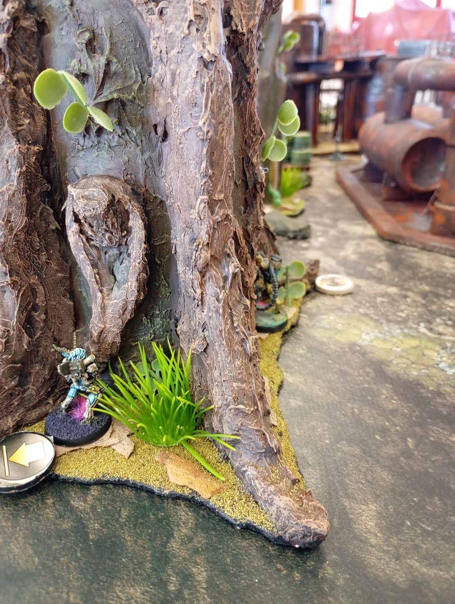 Ojo del Terror tweet media