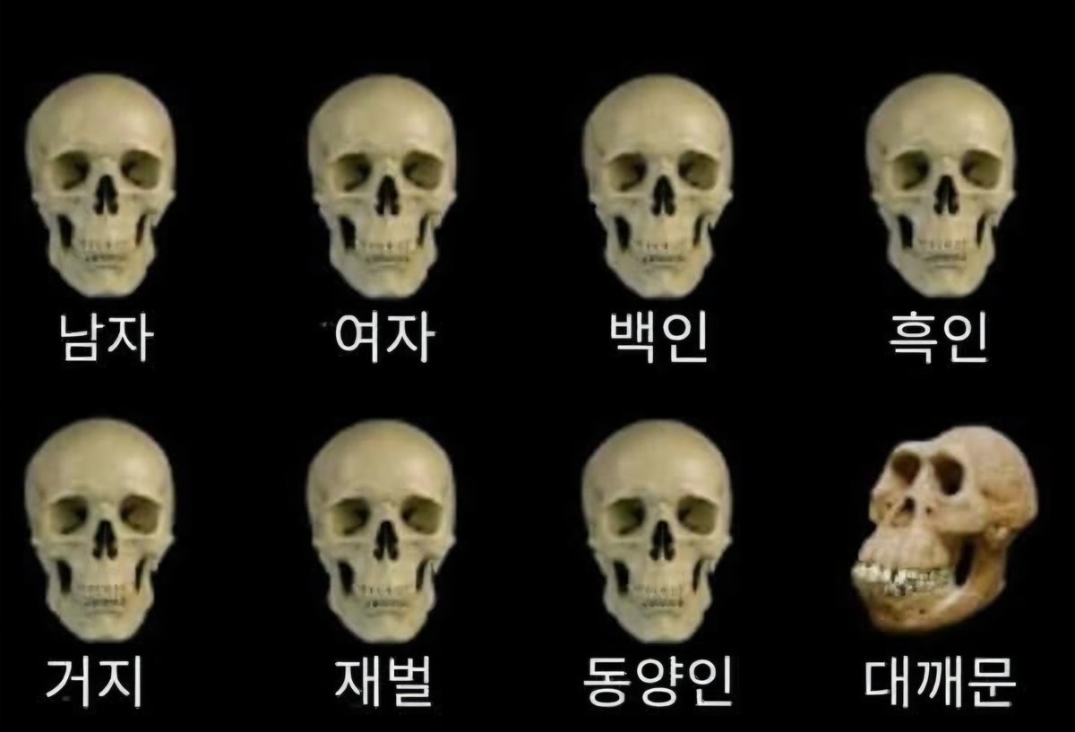이해 되시나요?🤣