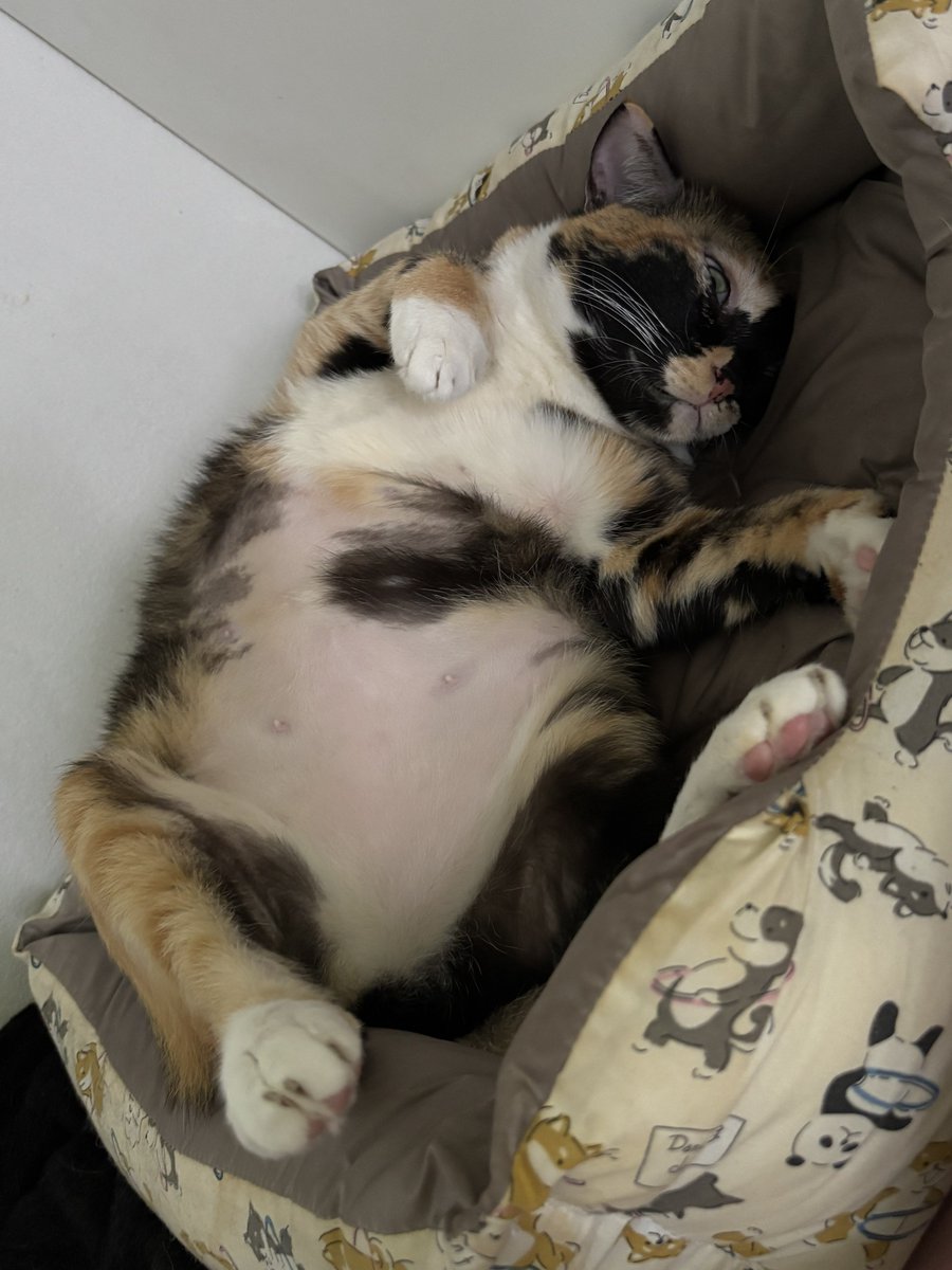 ดูเหลือกตามอง น่ากุวมาก5555555555