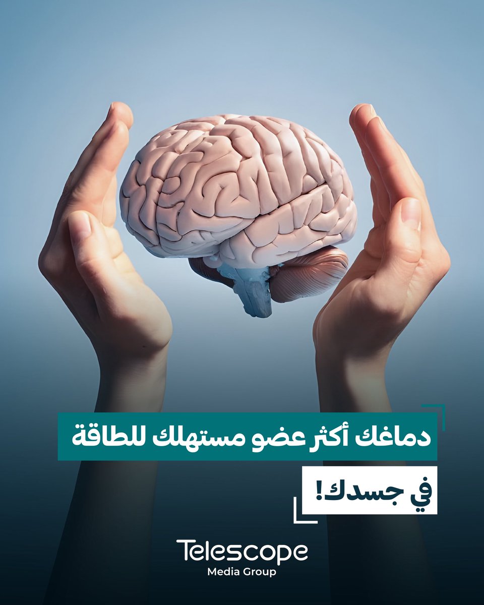 telescopemediag's tweet photo. رغم أن وزن الدماغ يشكّل حوالي 2٪ فقط من وزن جسم الإنسان، إلا أنه يستهلك ما يقارب 20٪ من إجمالي طاقة الجسم أثناء الراحة.

لماذا يستهلك الدماغ كل هذه الطاقة؟
الدماغ يعمل باستمرار حتى أثناء النوم، حيث يقوم بـ:
• https://t.co/OQwGTTFgHL