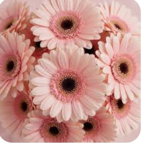 .
जब तक जिंदगी पटरी पर दौड़ती है तो हमें

 लगता है हम कुशल चालक हैं, लेकिन जब

 पटरी से उतरती है तो एहसास होता है...कि

 जिंदगी कोई और ही चला रहा है..! और ये 
 सच है!!...

.