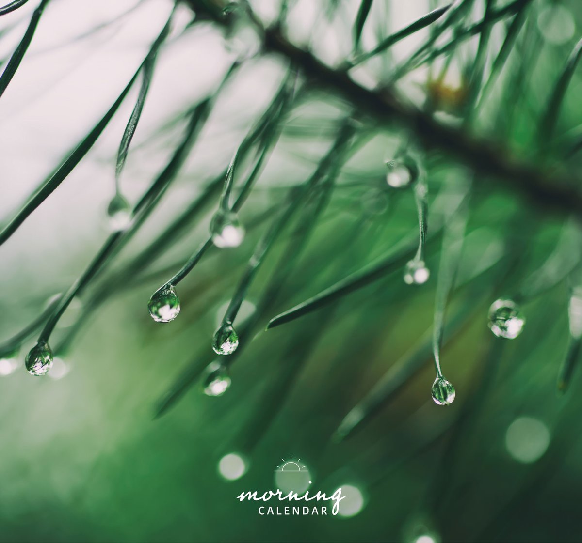 雨水（うすい）｜朝の日めくり

"寒く乾燥していた冬が去り、雪が雨に変わり大地を潤す、これが雨水の意味するところです。"

▼美しい言葉と写真をまとめた「朝の日めくり【2026】」
543life.com/i/1000000006001