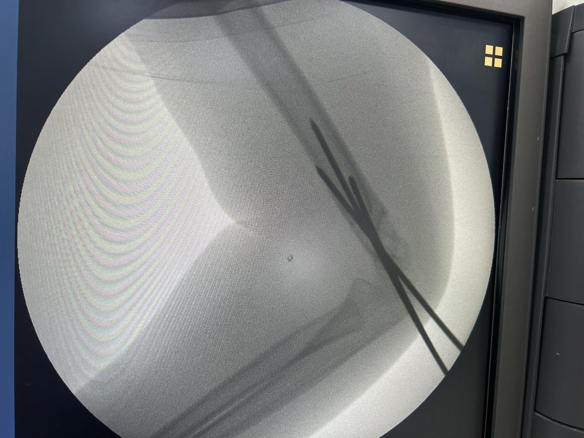 Delniotis Ioannis tweet media