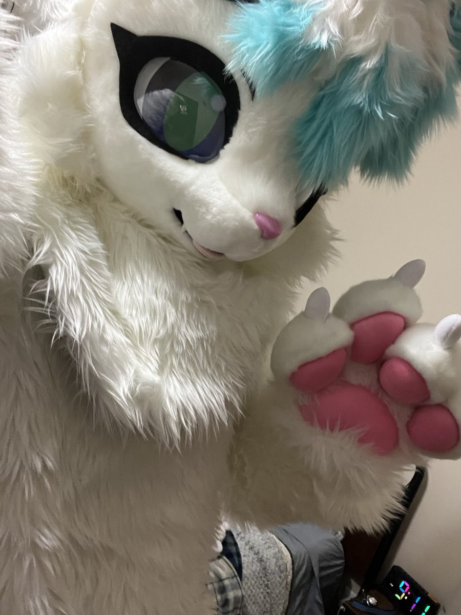 Vincent Cat tweet media