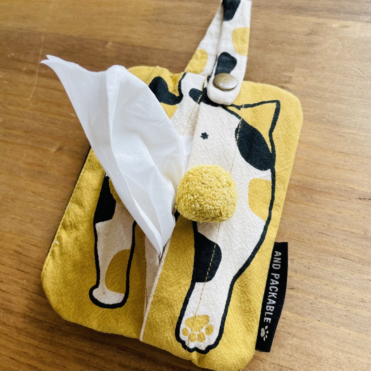 こ、これは🟡🟡！