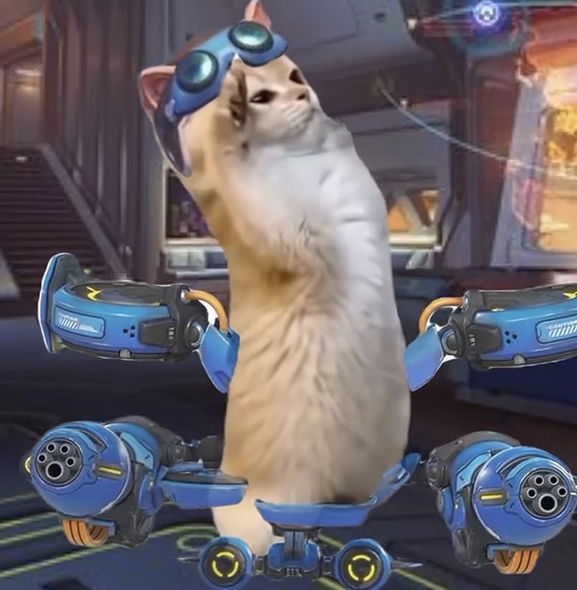 me when domina asks for a taxi