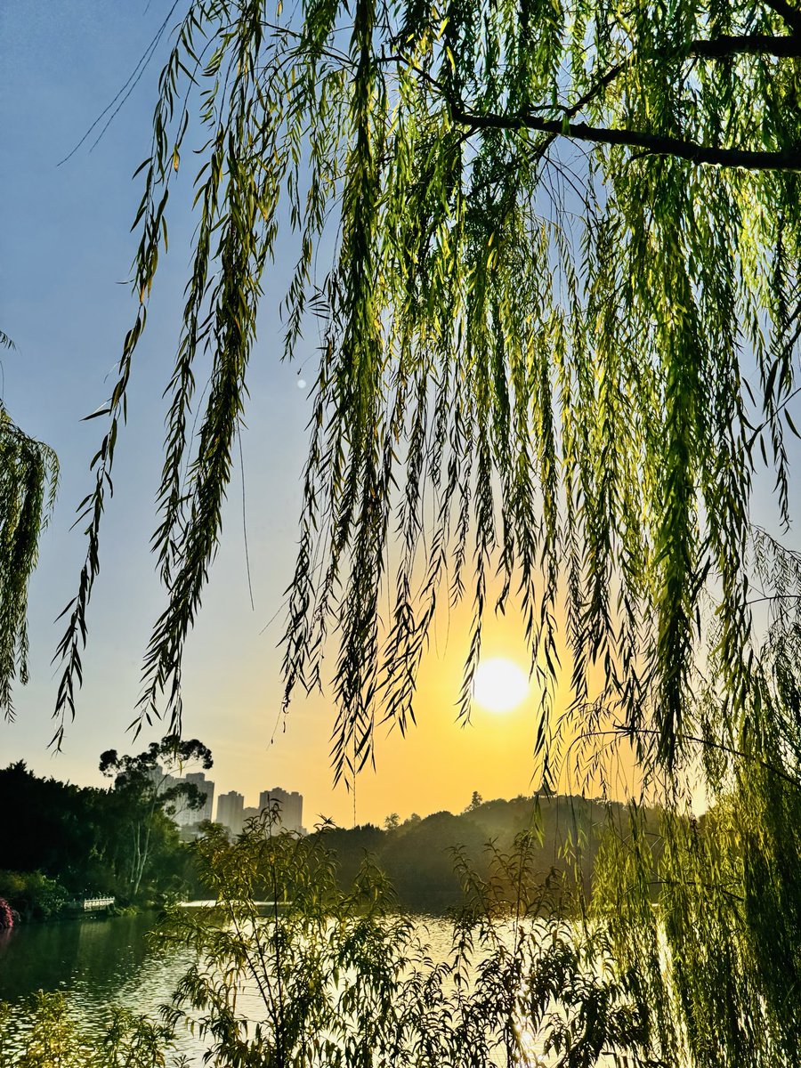 除夕快乐
#摄影 #旅行 #日常 #生活 #风景 #随手拍
#travel #life #Scenery #daily #Photography 
#旅行する #風景 #写真を撮る #しゃしん